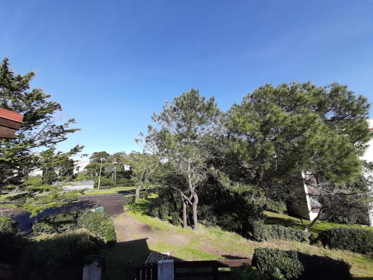 Maison Renovee Avec Terrasse A 700M Des Plages, Marche Et Activites - Tennis Et Piste Cyclable A 10M - Fr-1-239-385 Сеньос Экстерьер фото