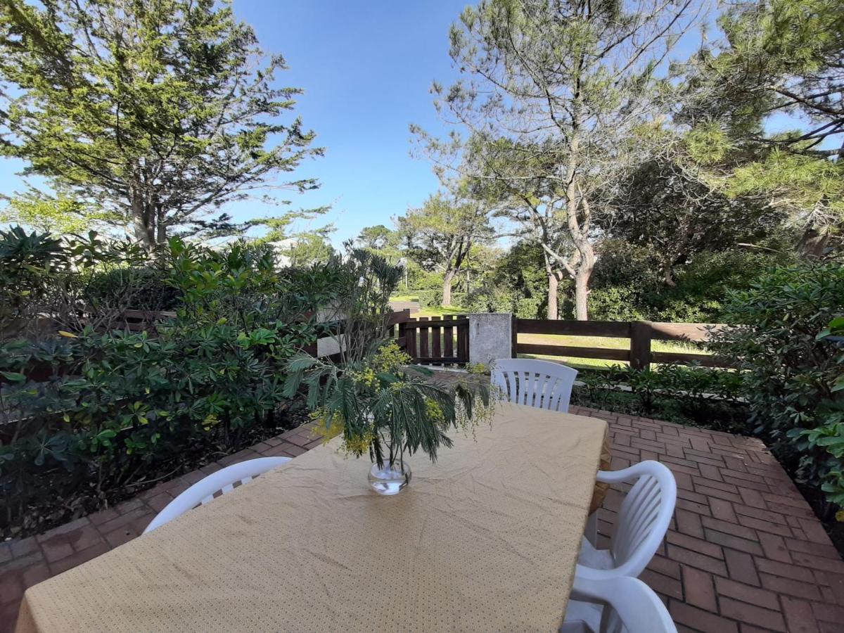 Maison Renovee Avec Terrasse A 700M Des Plages, Marche Et Activites - Tennis Et Piste Cyclable A 10M - Fr-1-239-385 Сеньос Экстерьер фото